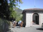 equiraduno011_small.jpg