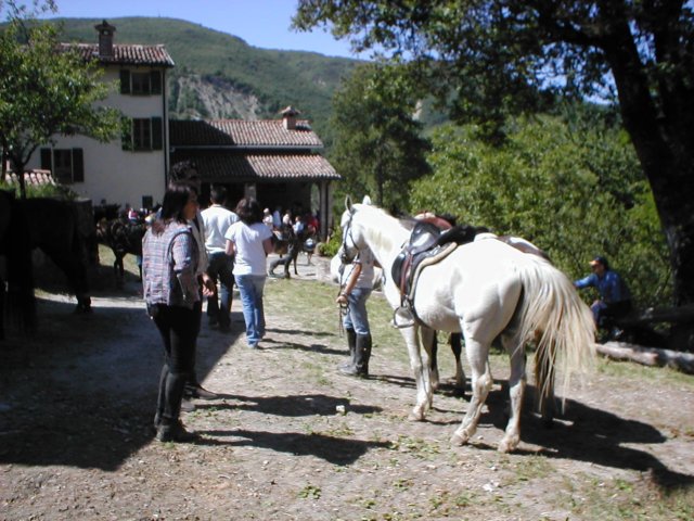 equiraduno032.jpg