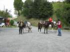 maggio2008139_small.jpg